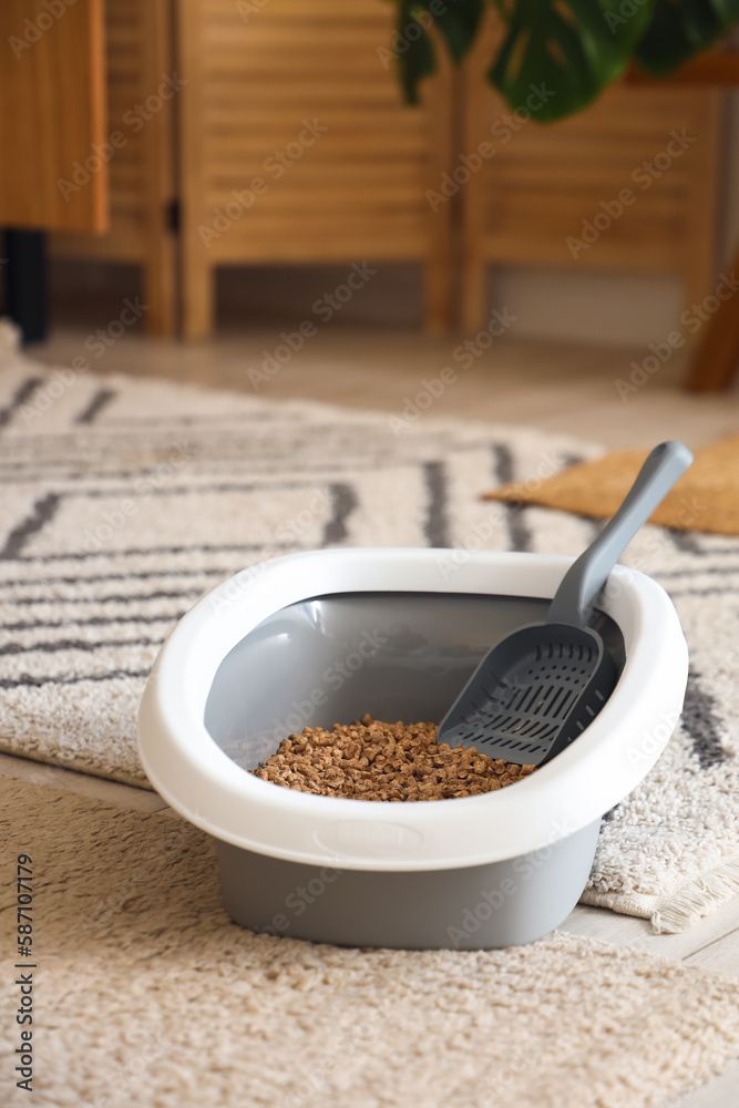 Litter box for cat on floor in room