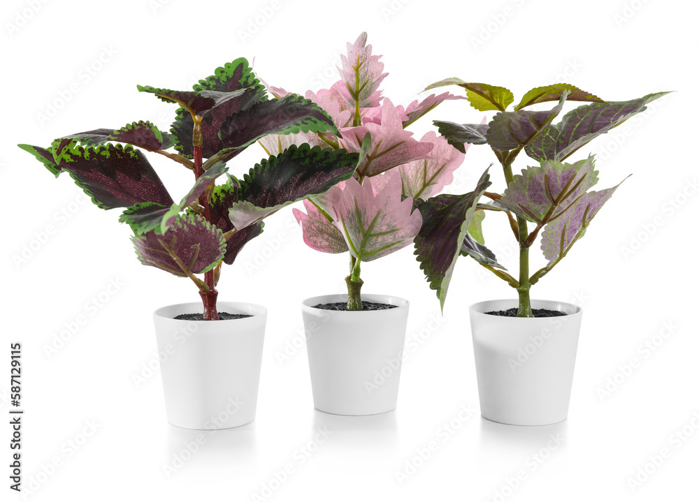 Artificial houseplants on white background