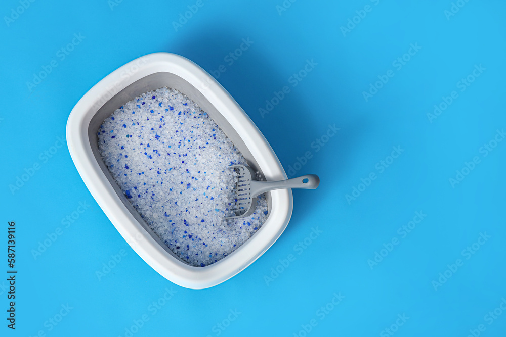 Litter box for cat on blue background, top view