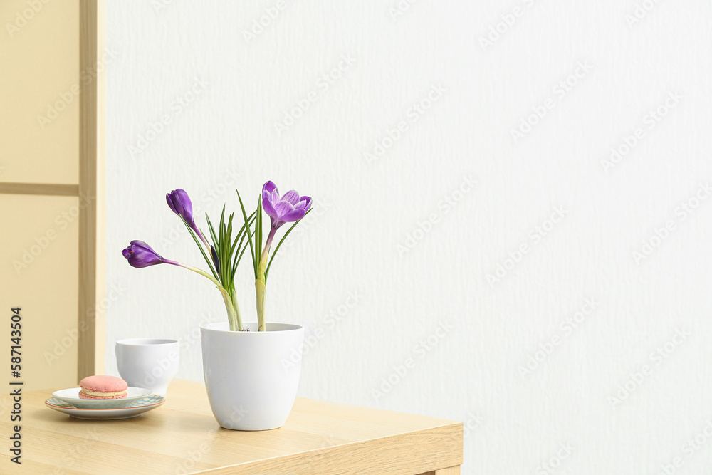 Pot with beautiful crocus flowers, cup and tasty macaroon on table near white wall