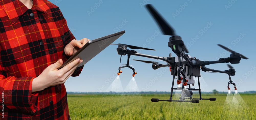 Farmer controls drone sprayer with a tablet. Smart farming and precision agriculture	