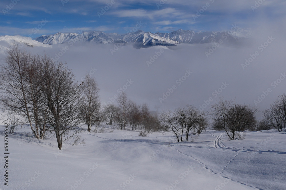 Paysage avec montagnes enneigées dans la brume