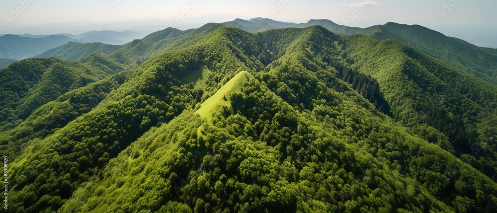 A view from a height of a mountain peak with green trees in the fog.Aerial view. Panoramic shot. Gen