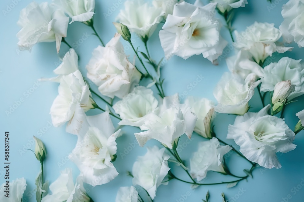  a bunch of white flowers on a blue background with water droplets on the petals of the flowers and 