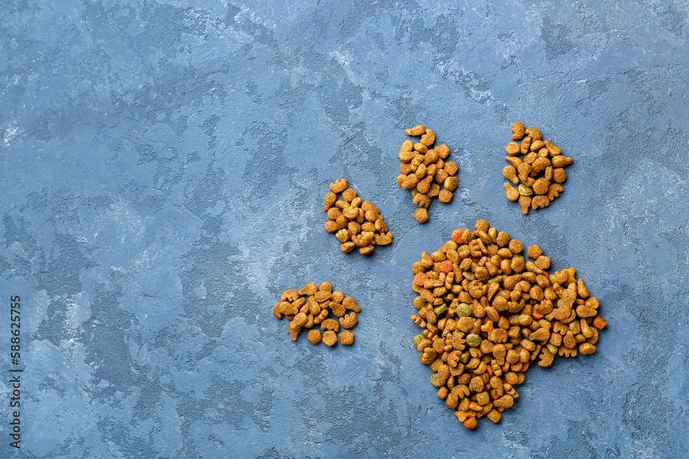 Pet paw made of dry food on color background