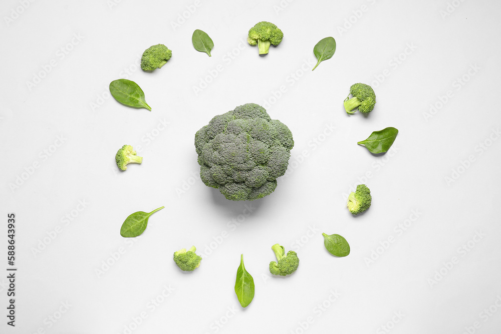 Composition with broccoli and spinach on white background