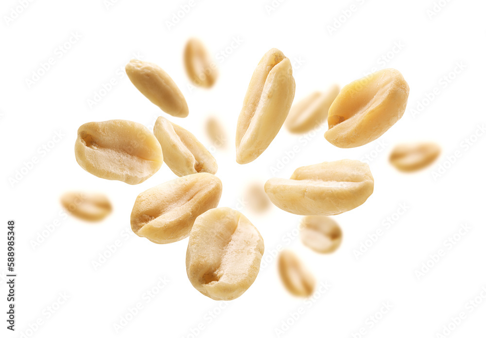 Peanuts levitate on a white background - Dry Peanuts.