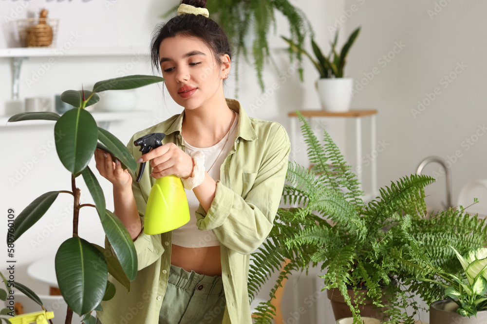 Young woman spraying green houseplants with water in kitchen