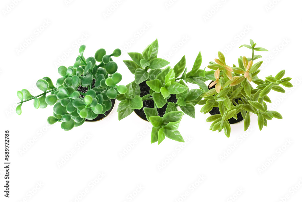 Artificial plants on white background