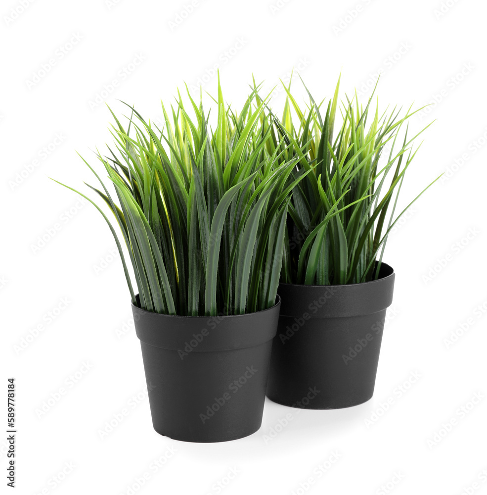 Artificial grass on white background