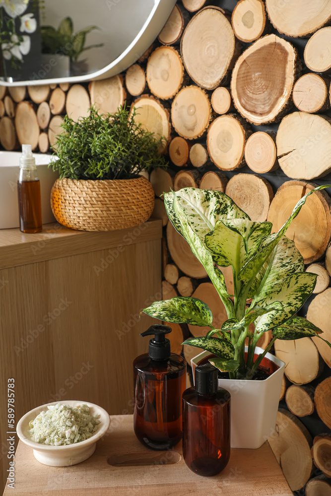 Tables with bath accessories and houseplants in room