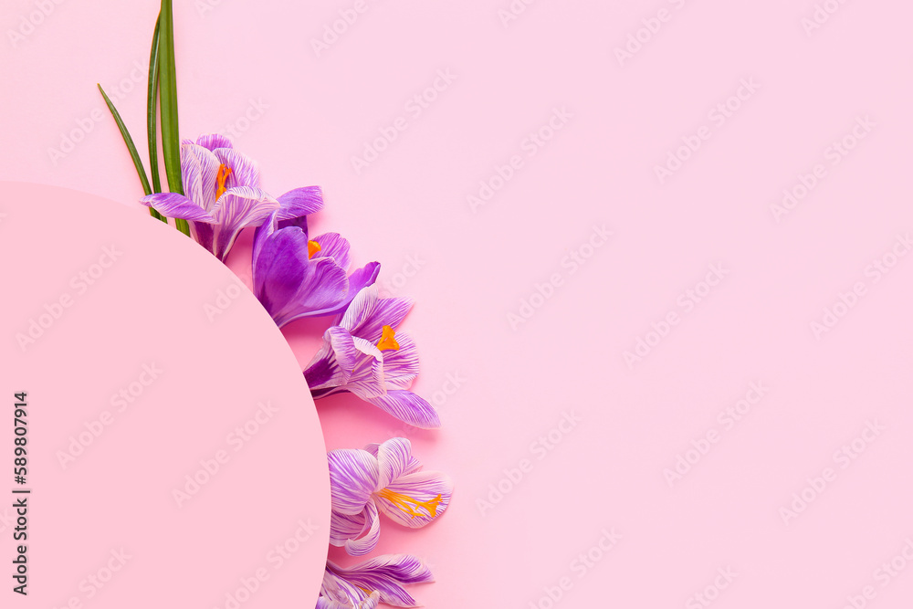 Beautiful Saffron flowers and blank card on pink background, closeup