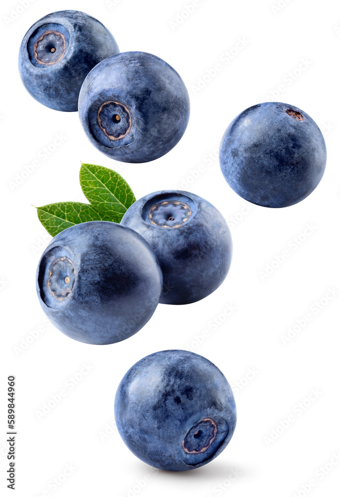 Bilberry isolated. Bilberries with leaf flying on white background. Perfect retouched bilberries fal