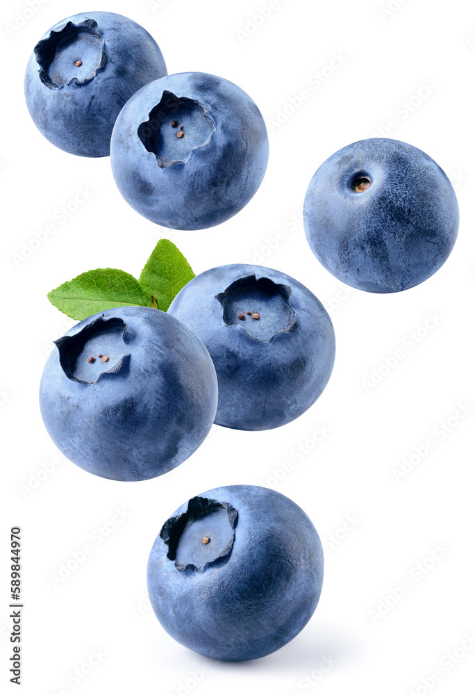 Blueberry isolated. Blueberries with leaf flying on white background. Perfect retouched blueberries 