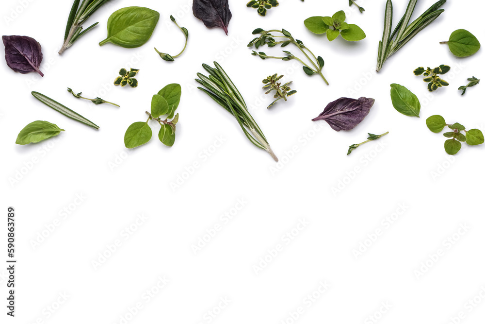 Composition with different fresh spices and herbs on white background