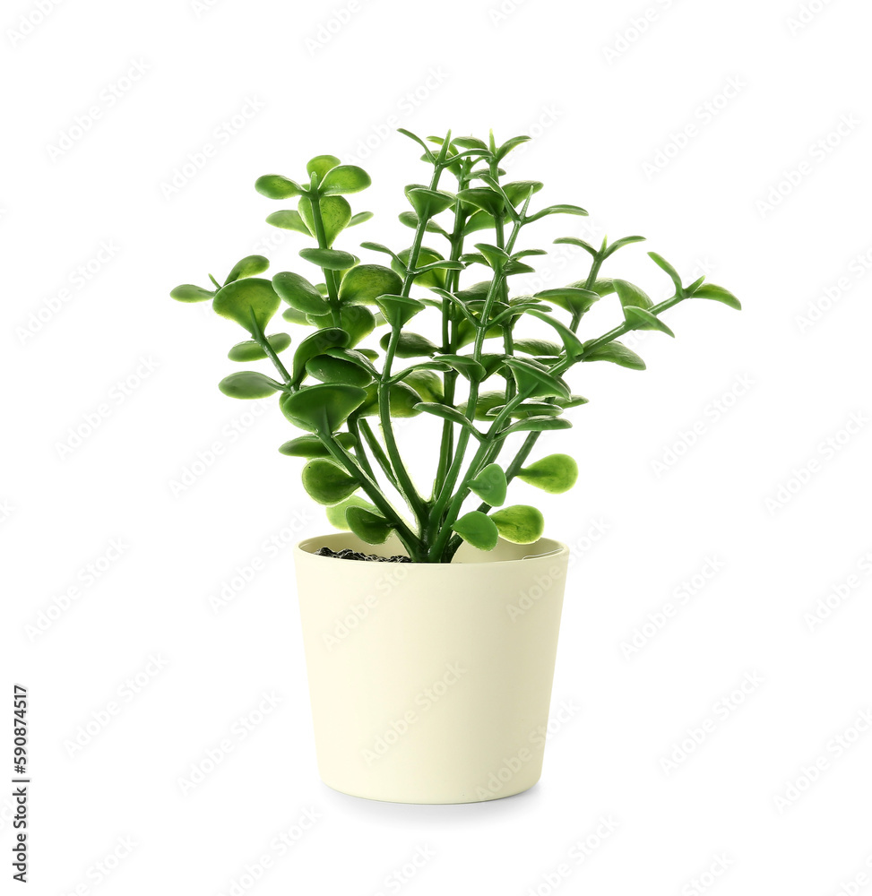 Artificial plant on white background