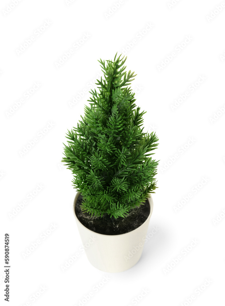 Artificial plant on white background