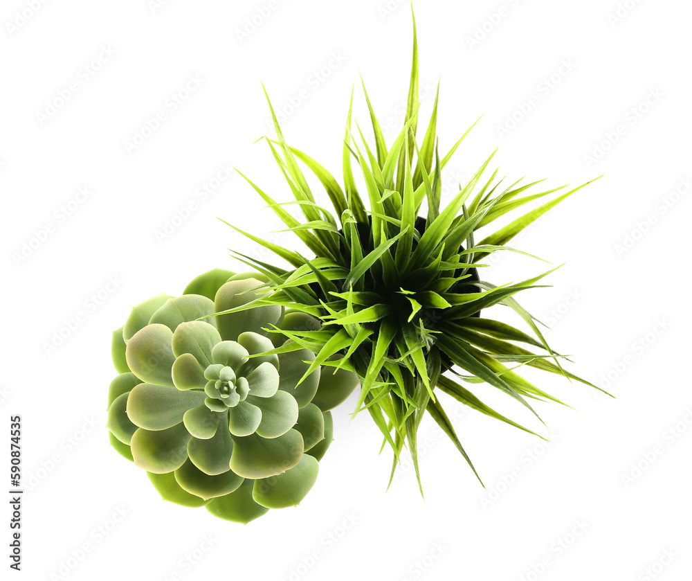 Artificial plants on white background