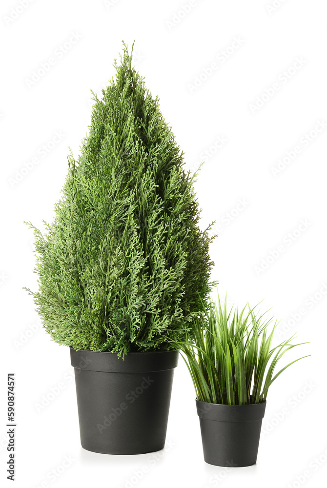 Artificial plants on white background