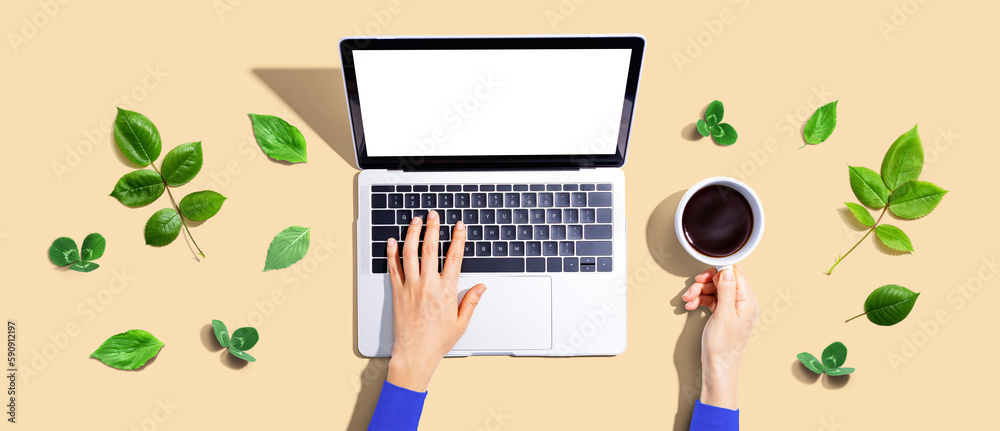 Person using a laptop computer with green leaves - flat lay