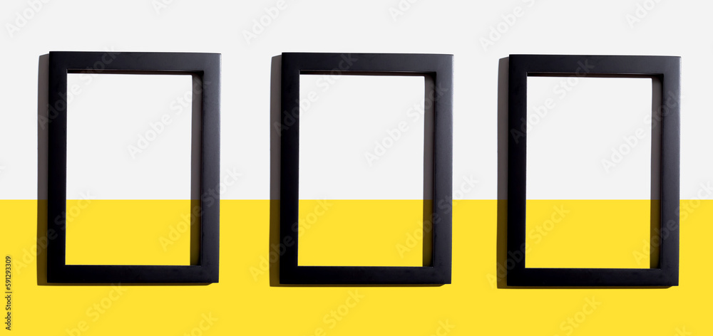 Blank rectangle picture frames with copy space