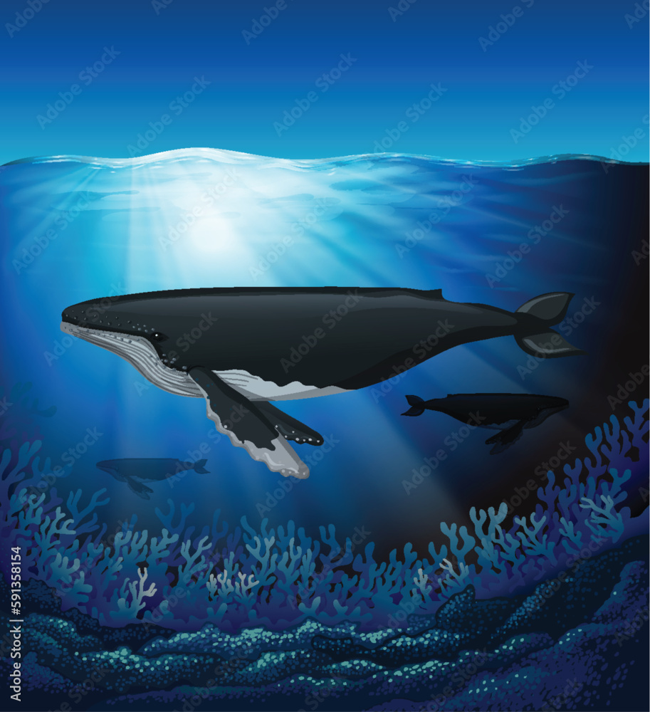 Blue Whale in the Deep Blue Sea