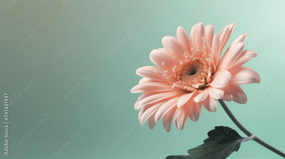 real one flower with pastel tone background generative ai