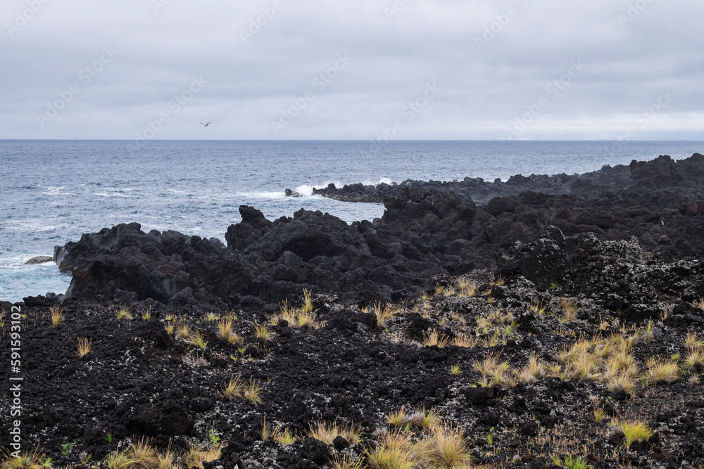 Coastal landscape of Pico, Azores / Coastal landscape from Pico island, Azores, Portugal.