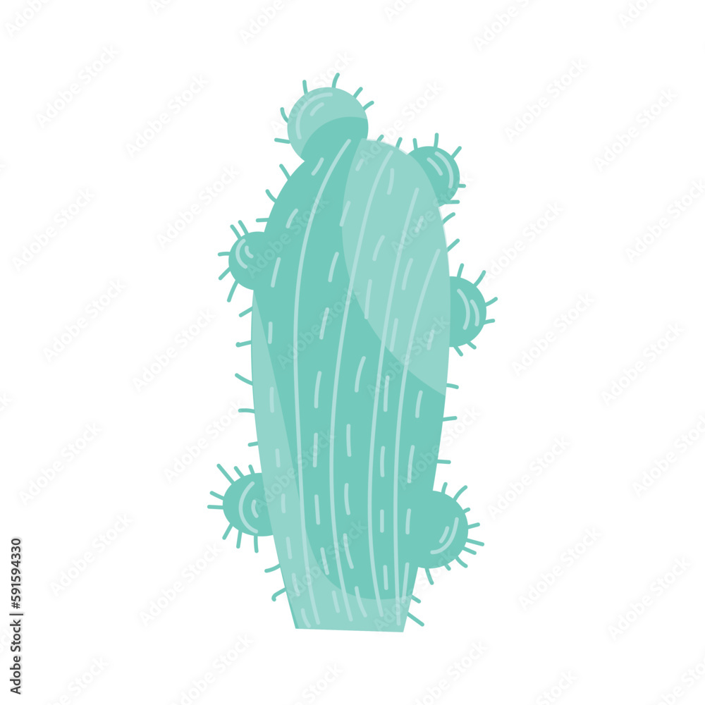 Green cactus on white background