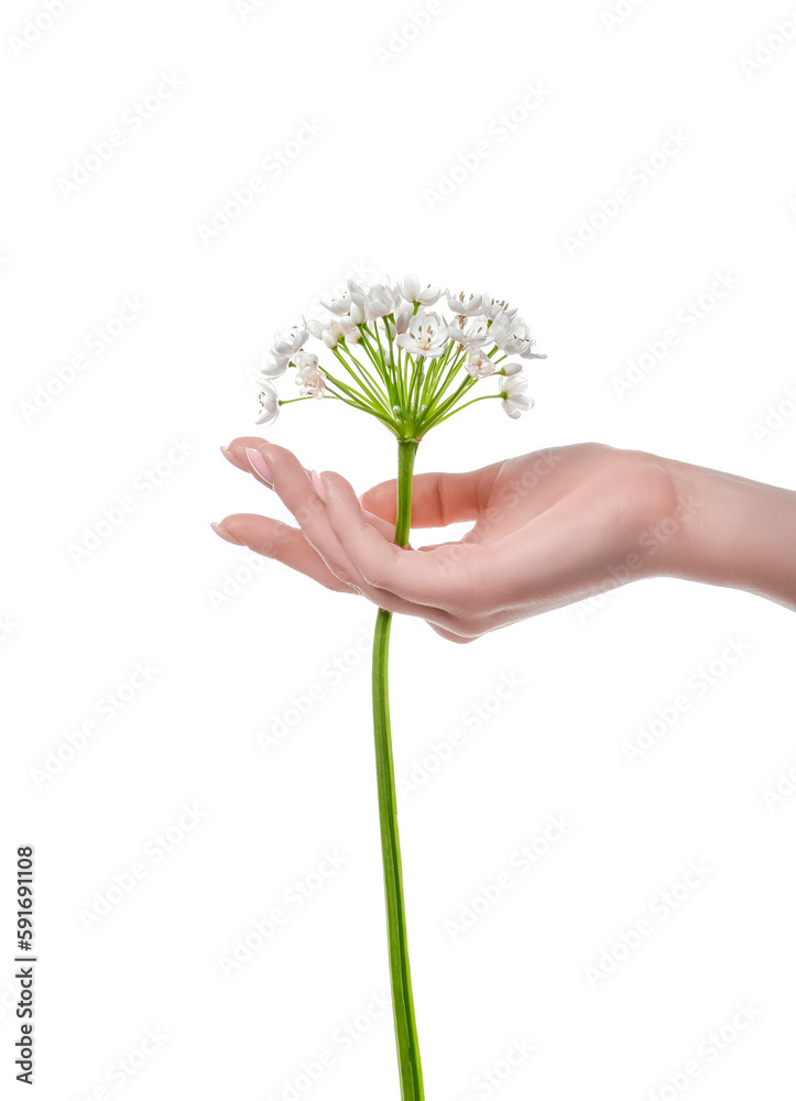 Woman with beautiful flowers on white background. Hand care concept