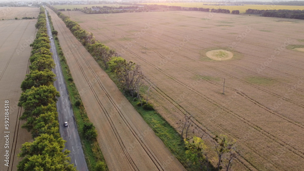 Beautiful panoramic landscape agricultural fields of ripe wheat,road with moving cars, industrial pl