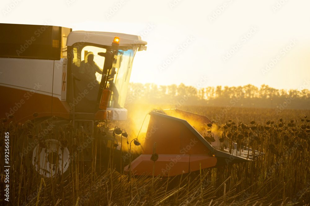 Combine harvester on the field at sunset.	