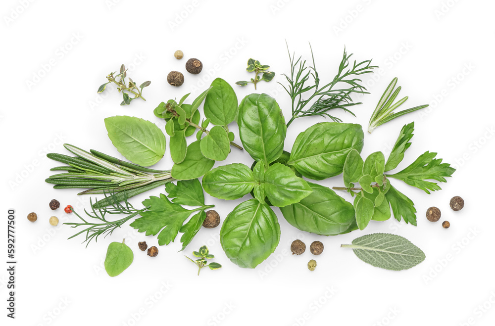 Composition with fresh herbs and spices on white background