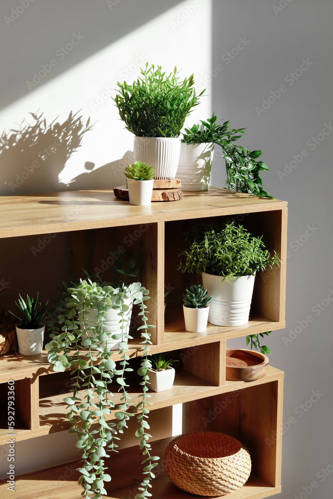 Shelving unit with artificial plants near light wall