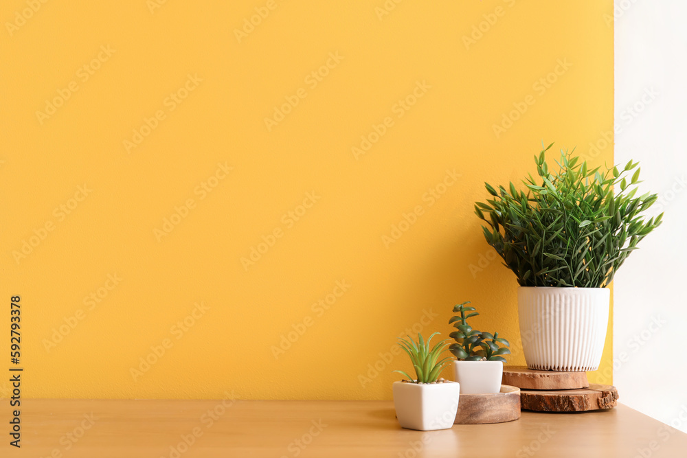 Artificial plants on table near color wall