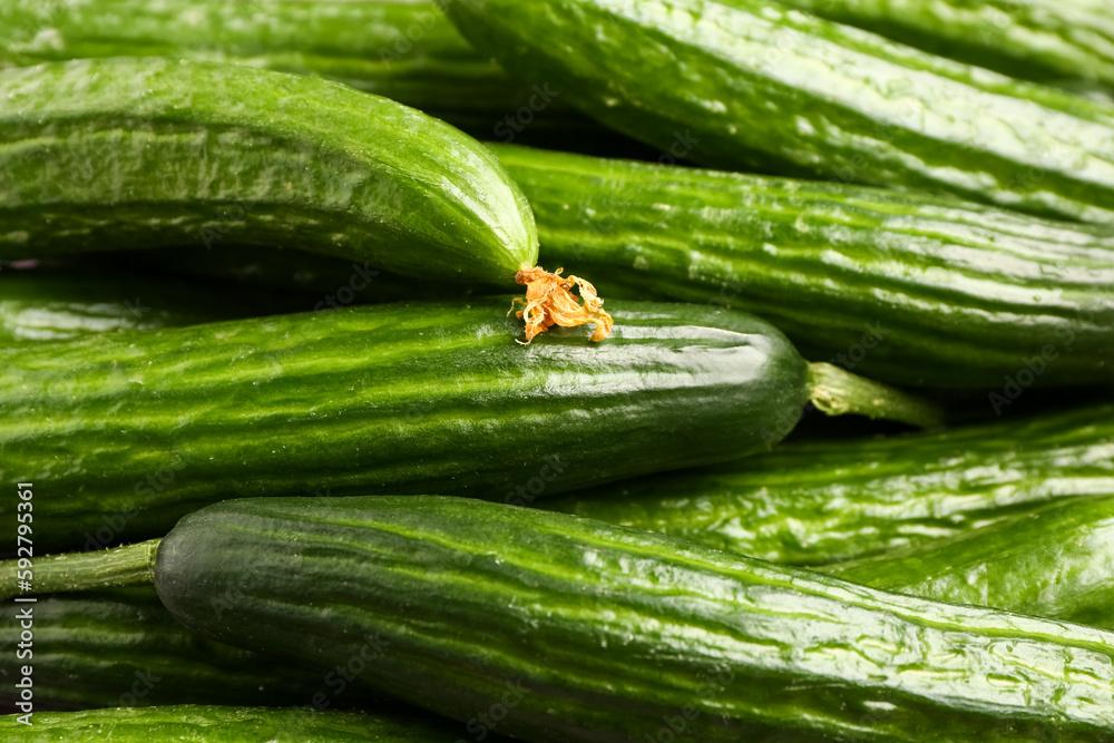 Fresh cucumbers as background, closeup