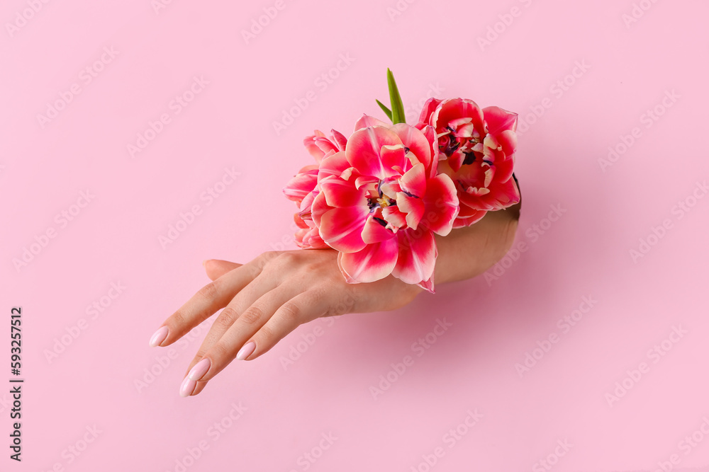 Female hand with tulips visible through hole in pink paper