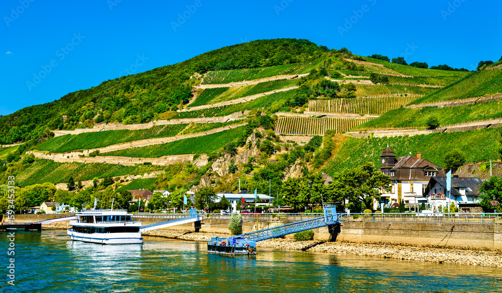 Ruedesheim am Rhein town on the Rhine river in Germany