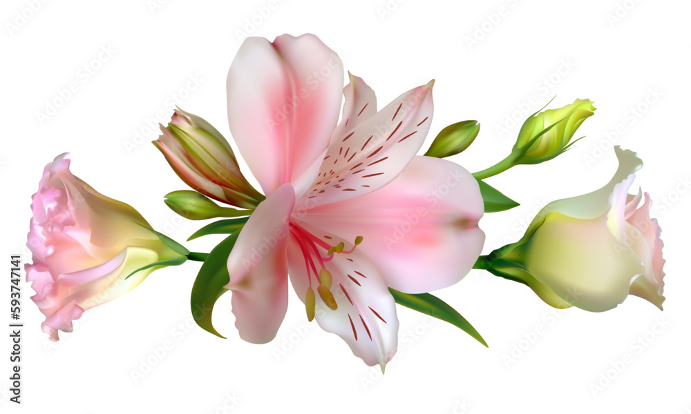 Lilies. Background. Bouquet. Buds. Green leaves. Beautiful pink flowers. Pink roses.