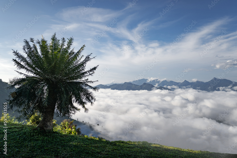 landscape and sky background