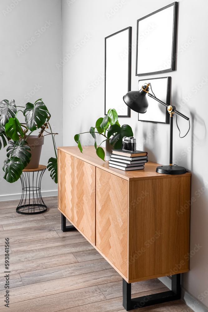 Houseplant with photo camera, books and lamp on table in room