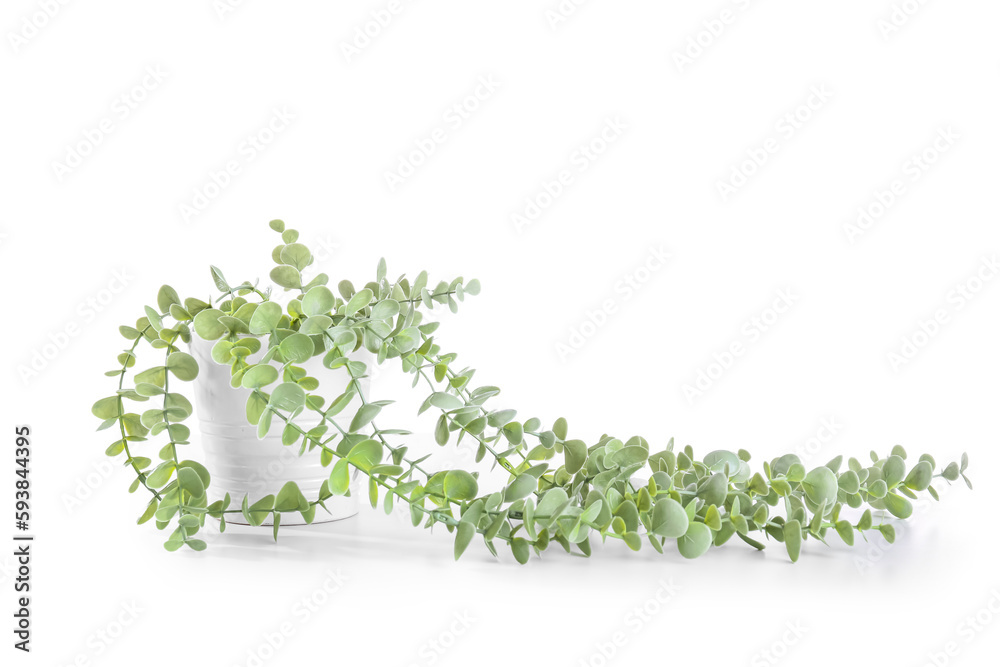 Artificial plant on white background