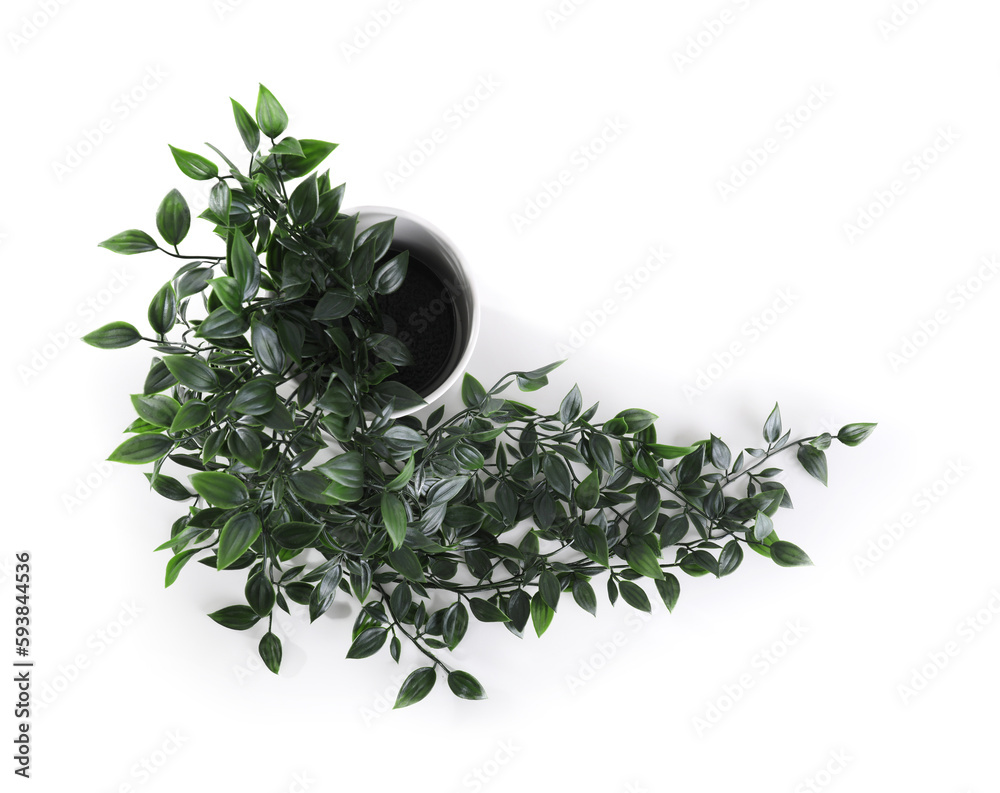 Artificial plant on white background