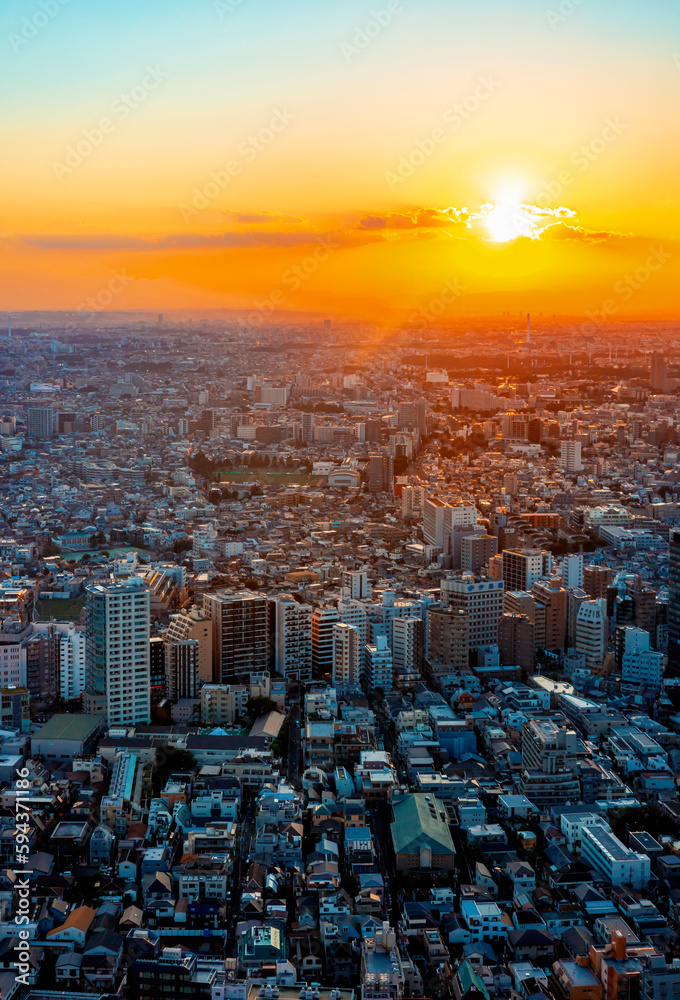 Skyscrapers towering over the cityscape of Nishi-Shinjuku, Tokyo, Japan at sunset