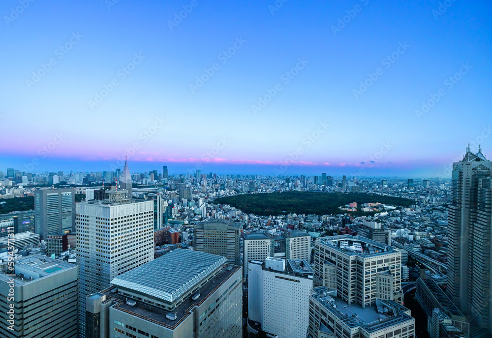 Skyscrapers towering over the cityscape of Nishi-Shinjuku, Tokyo, Japan at sunset