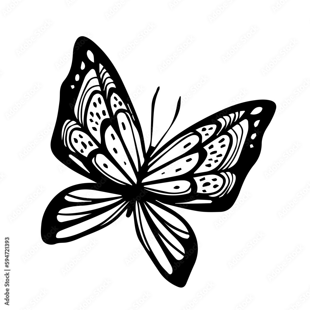 Vector illustration of beautiful butterfly with wing on white color background. Flat line art style 