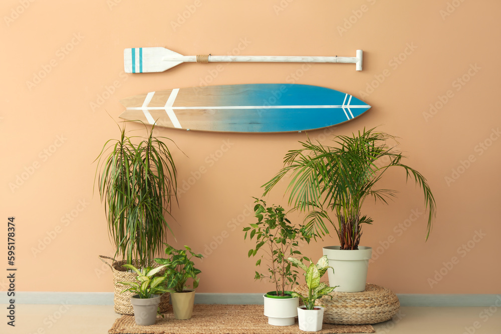 Houseplants and surfboard with paddle hanging on beige wall in room