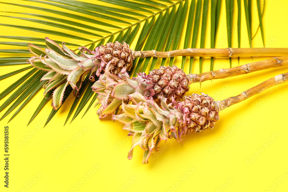 Decorative pineapples with palm leaf on yellow background