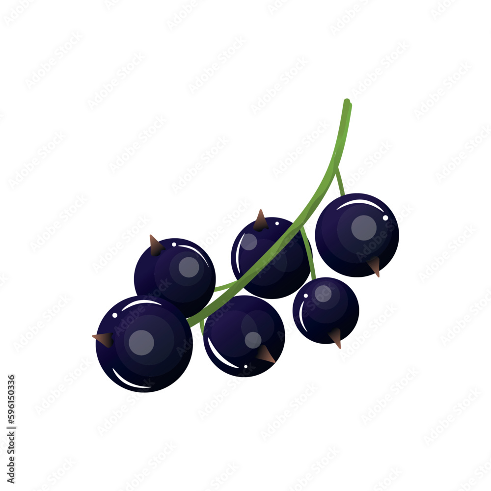 Ripe black currants on white background