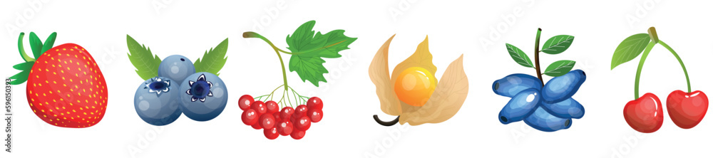 Set of tasty fruits and berries on white background